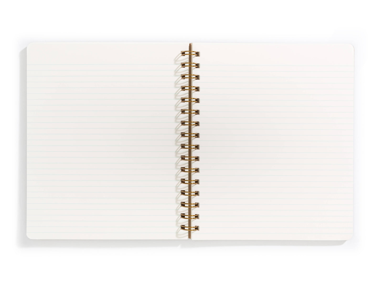 Standard Notebook - Spruce: Lined / Right