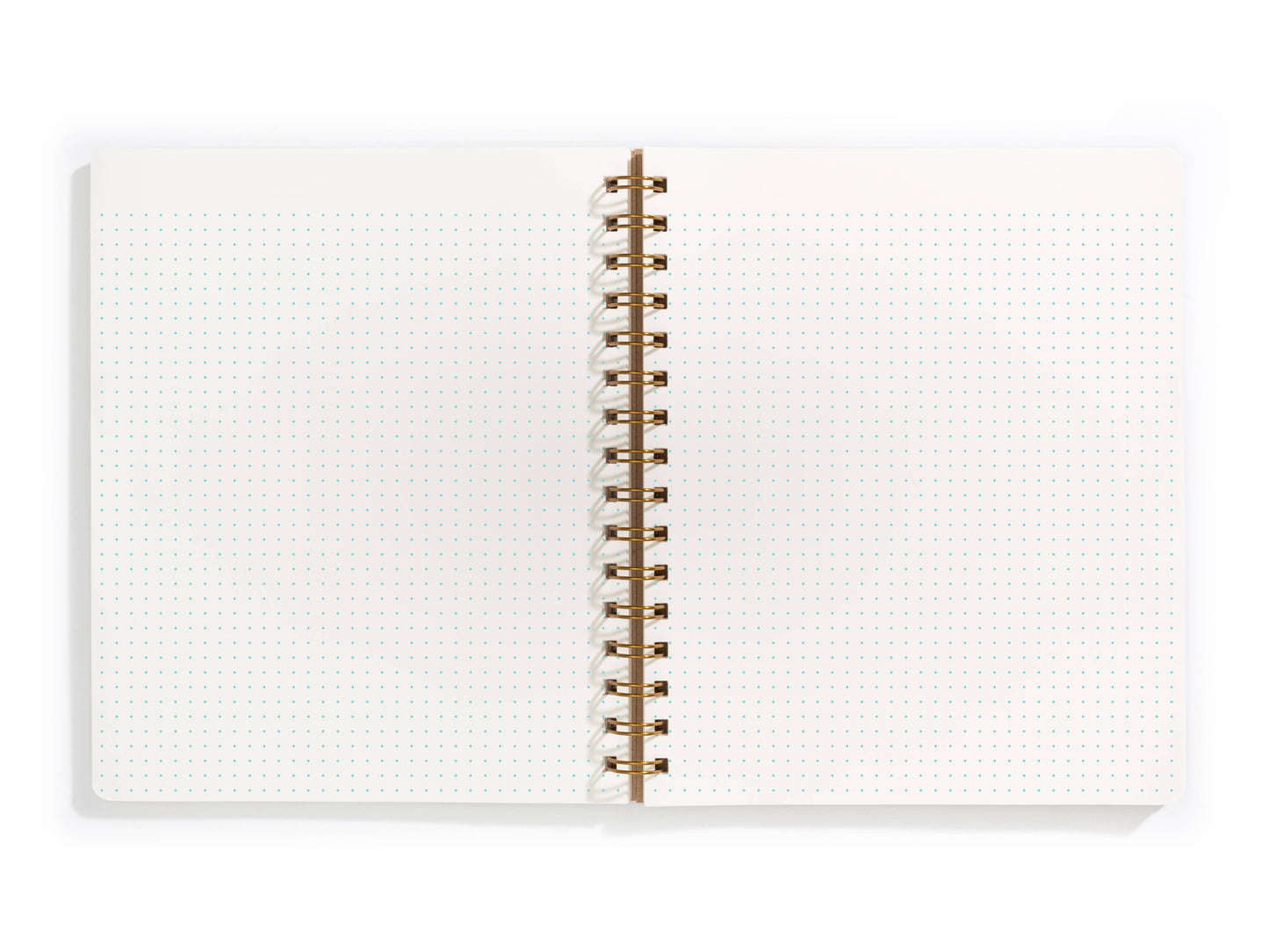 Standard Notebook - Spruce: Lined / Right