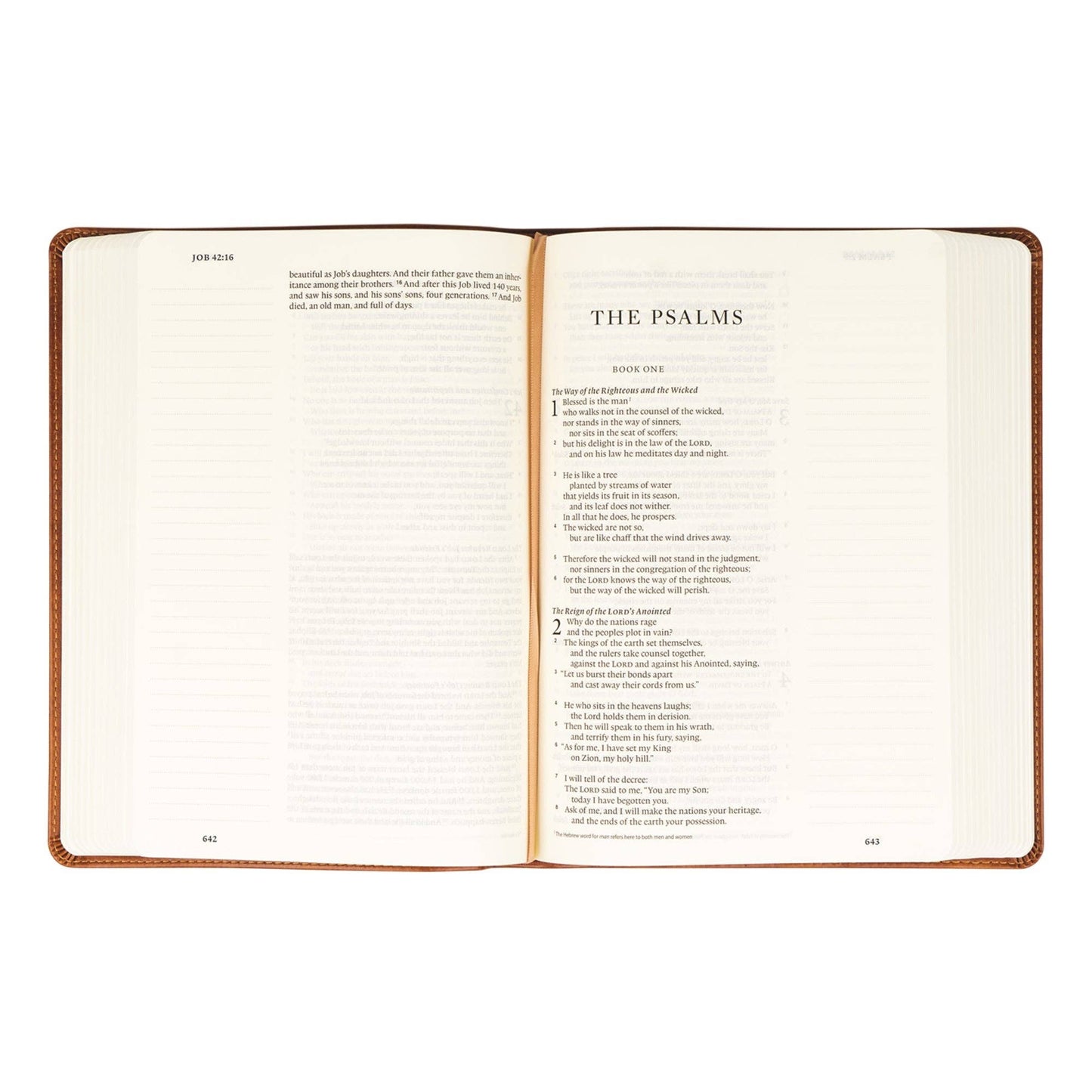 ESV Large Print Journaling Bible : Sierra Theme