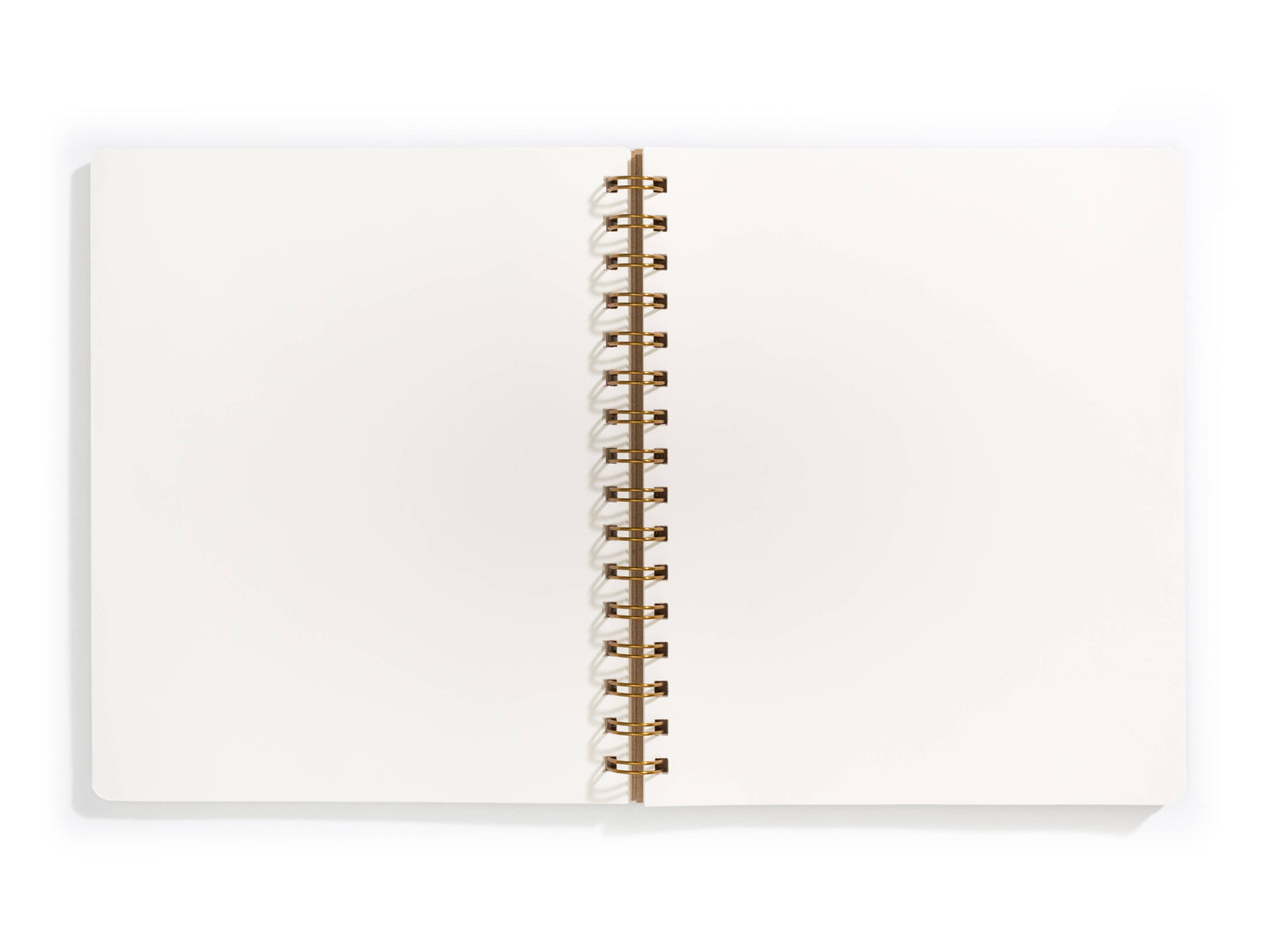 Standard Notebook - Spruce: Lined / Right
