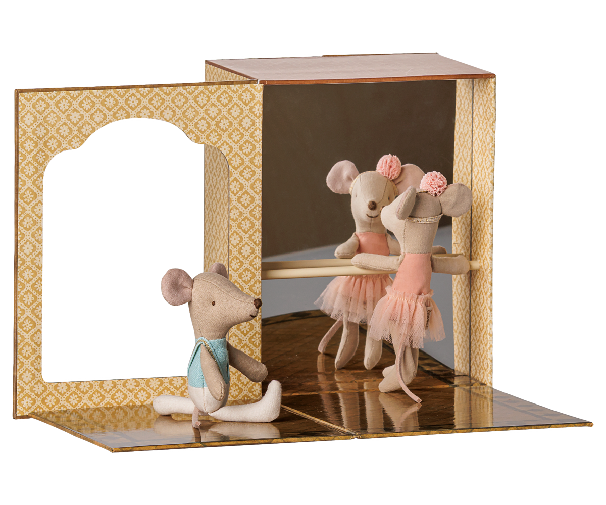 Ballet mice in Dance Studio, Little Sister and Little Brother