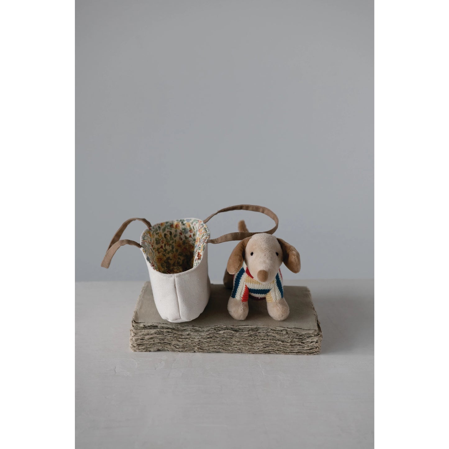 Dachshund in carrier set