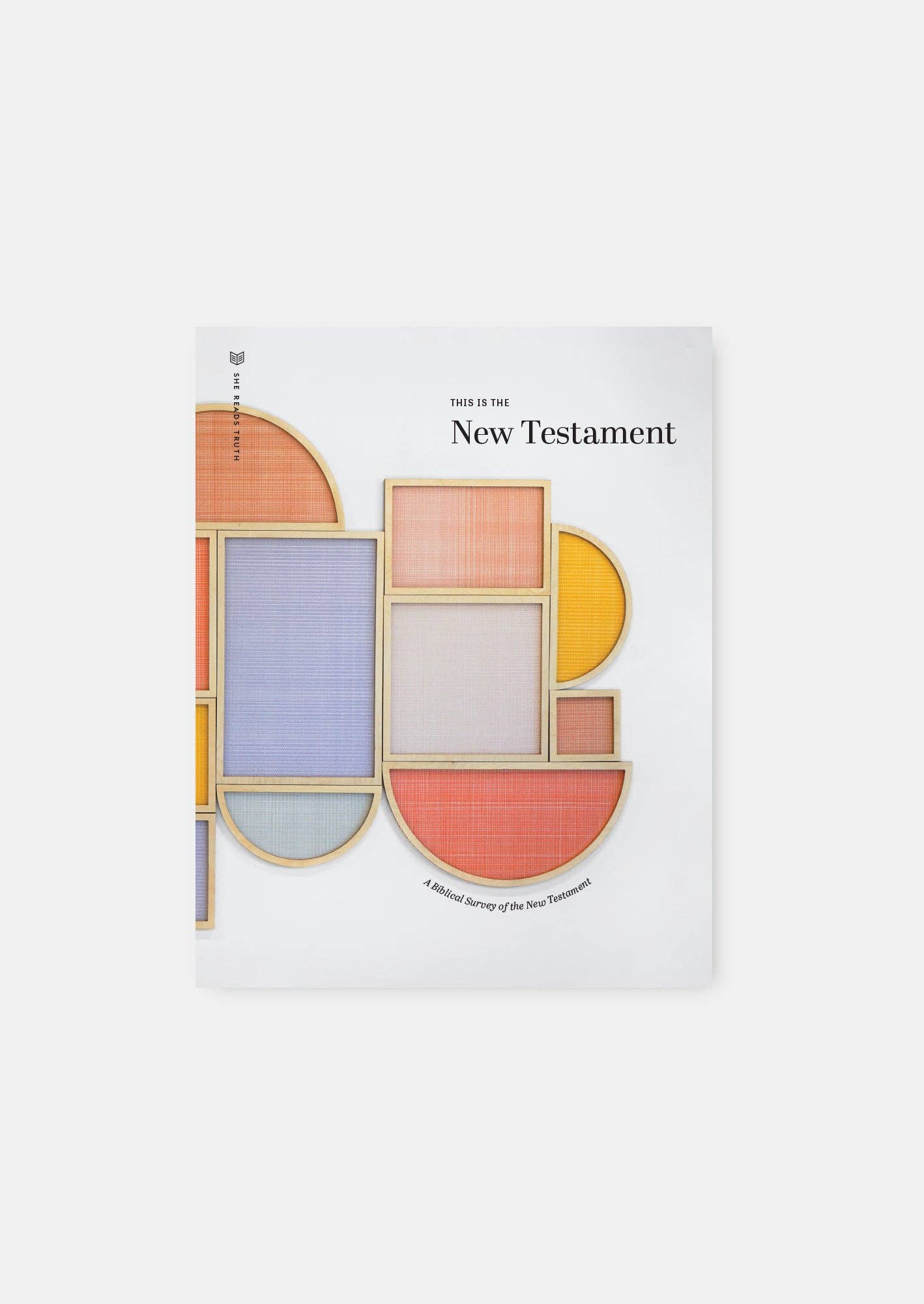 This Is the New Testament Study Book | She Reads Truth