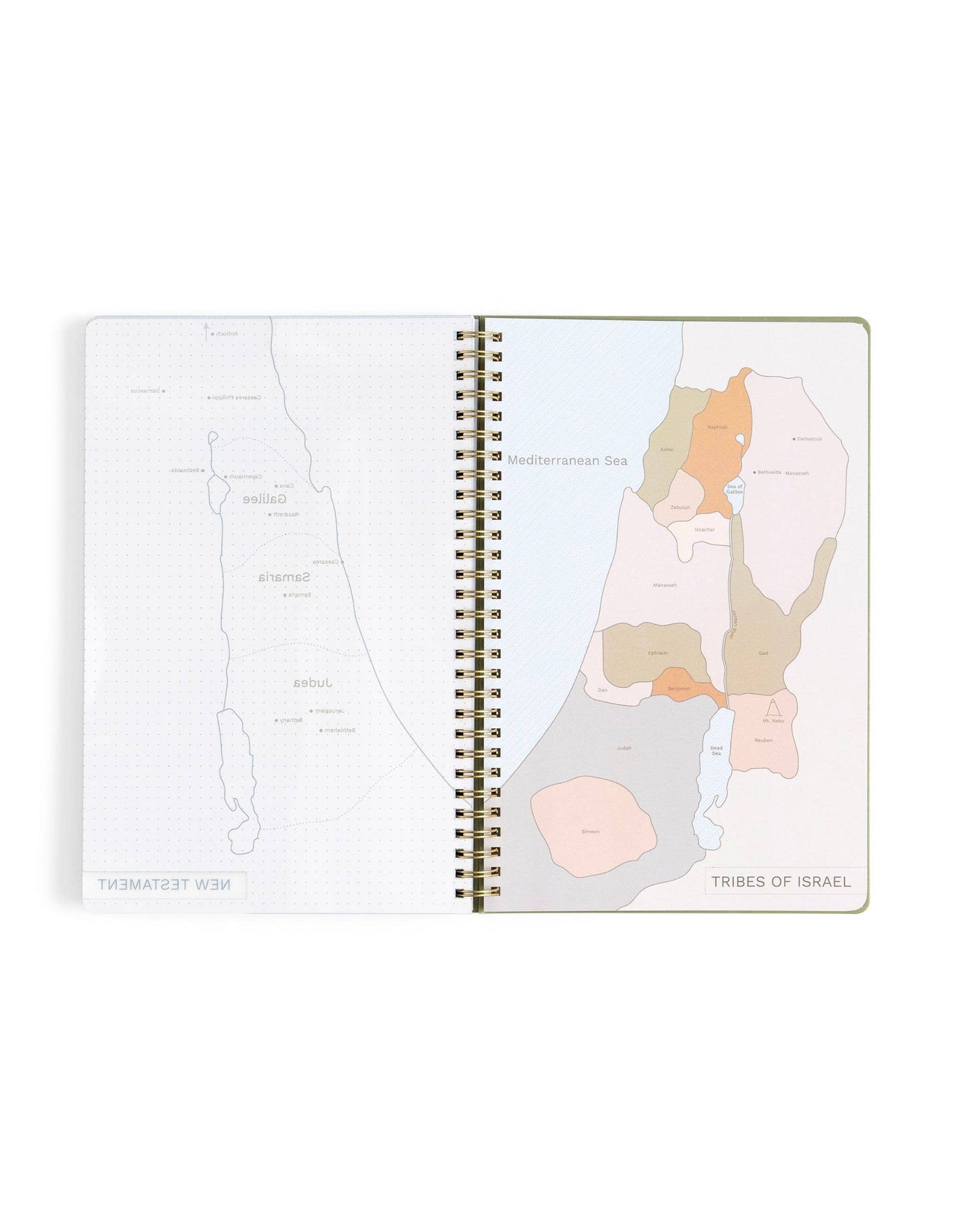 Church Notes Co. Olive Church Notes Bible Reference Notebook
