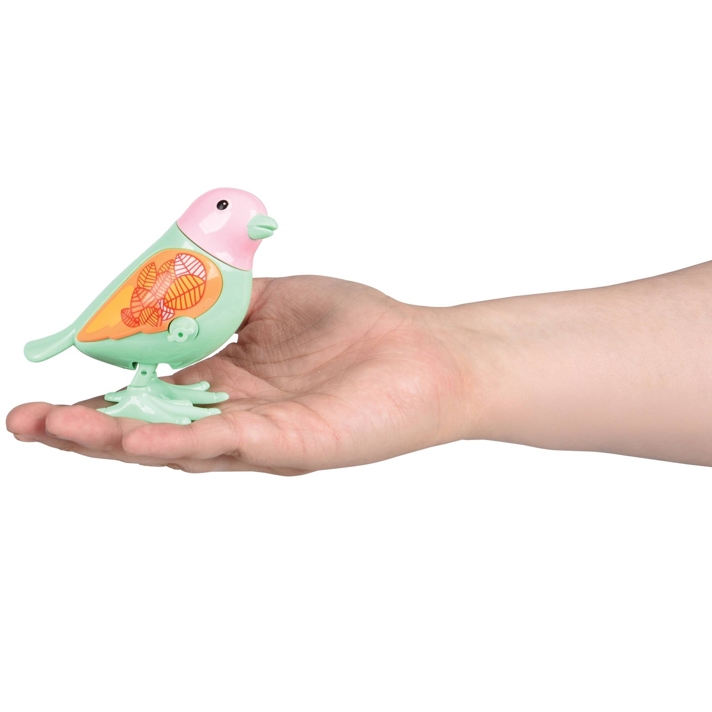 Wind Up Birds 12-Unit Display