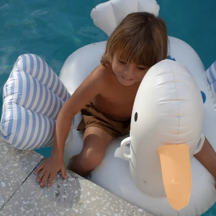 Kids Ride-on Seagull