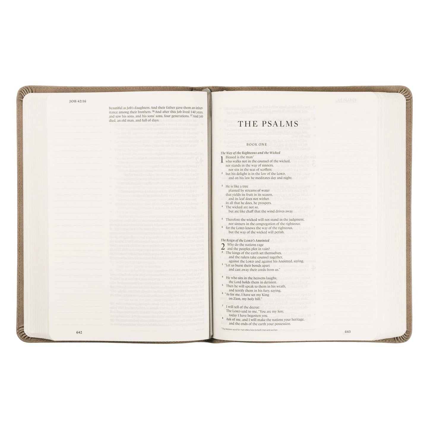 ESV Large Print Journaling Bible : Nara Theme