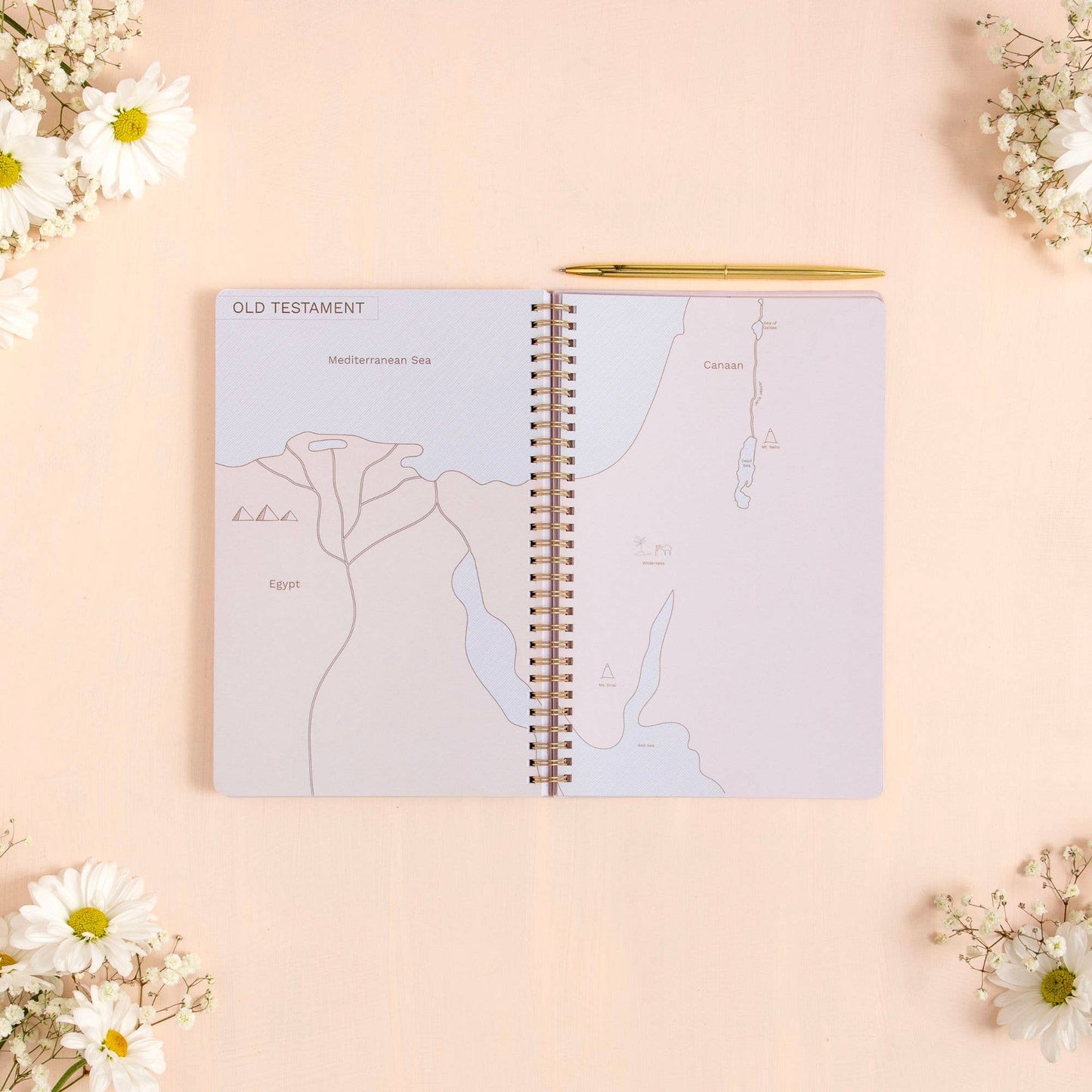 Church Notes Co. Olive Church Notes Bible Reference Notebook