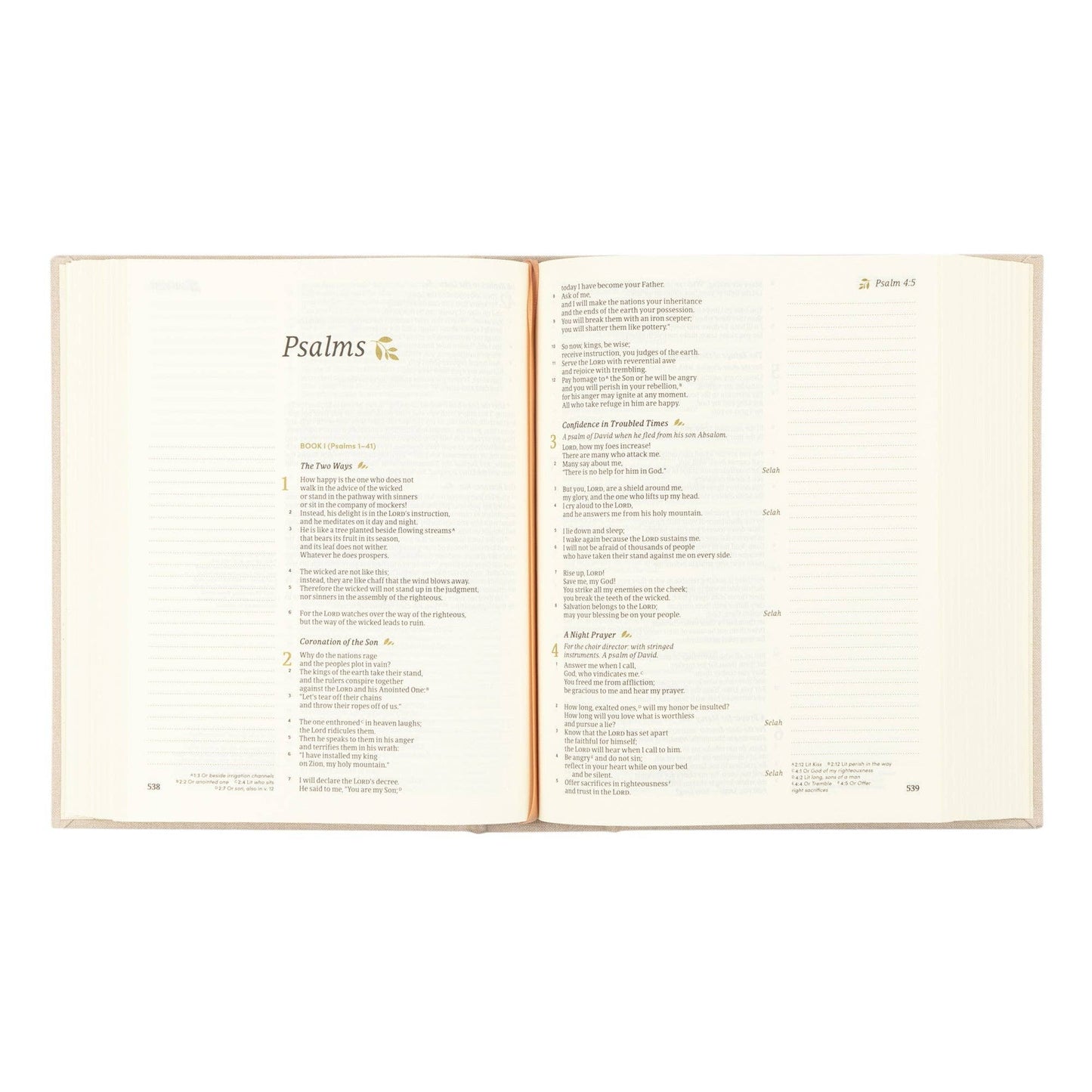 CSB Notetaking Bible: Oxford Theme