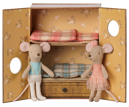 Ballet mice in Dance Studio, Little Sister and Little Brother