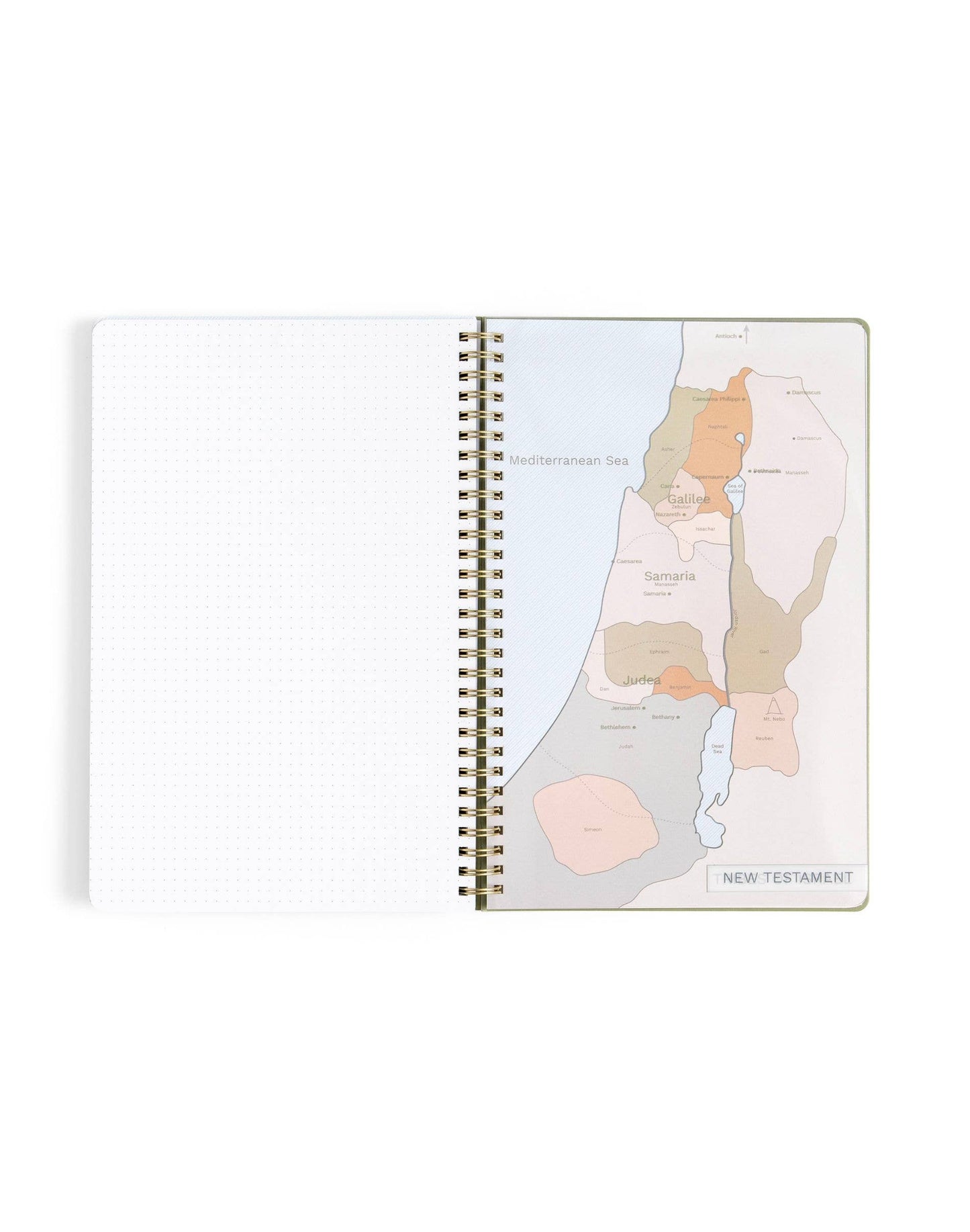 Church Notes Co. Olive Church Notes Bible Reference Notebook
