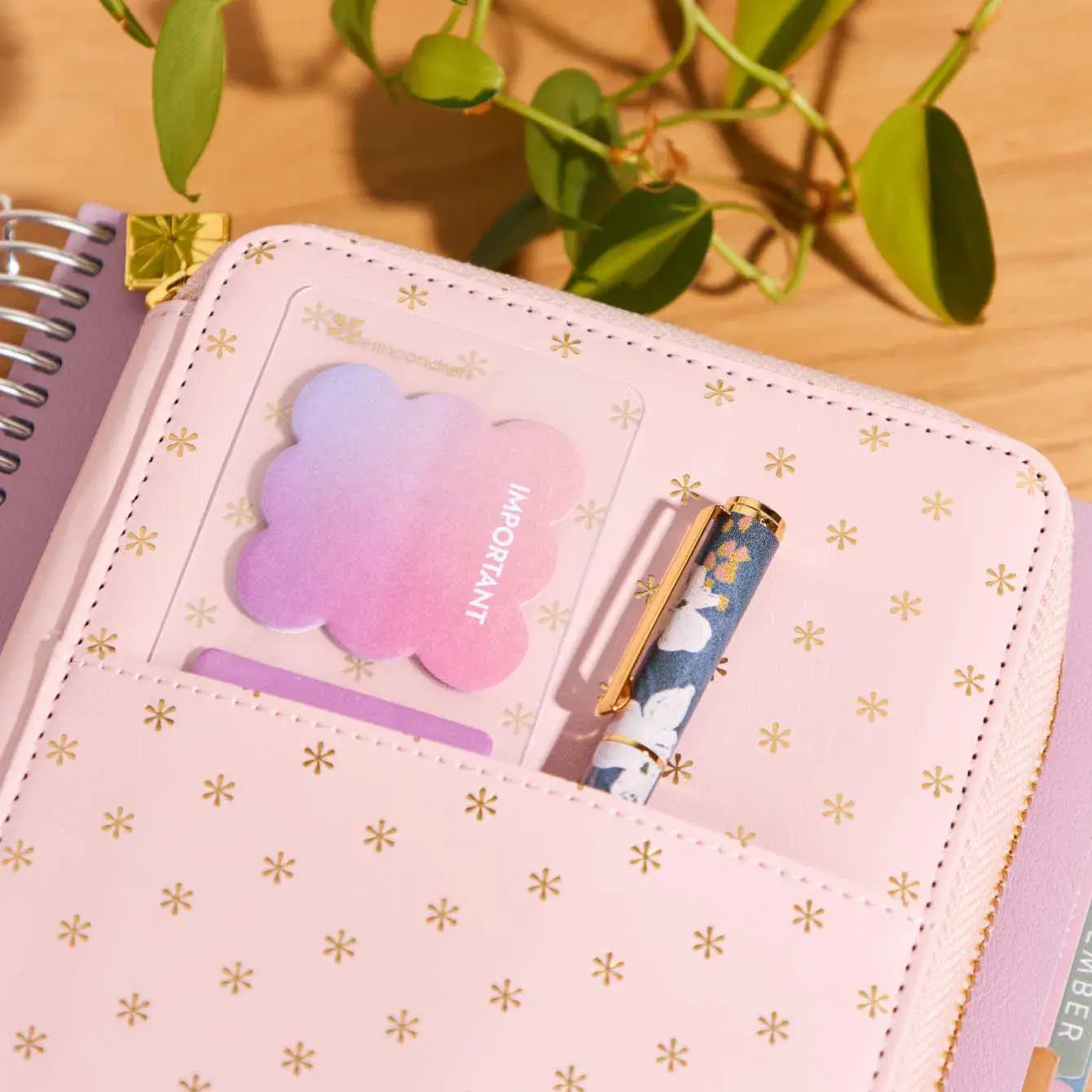 Premium Planny Pack - Blush Asterisks