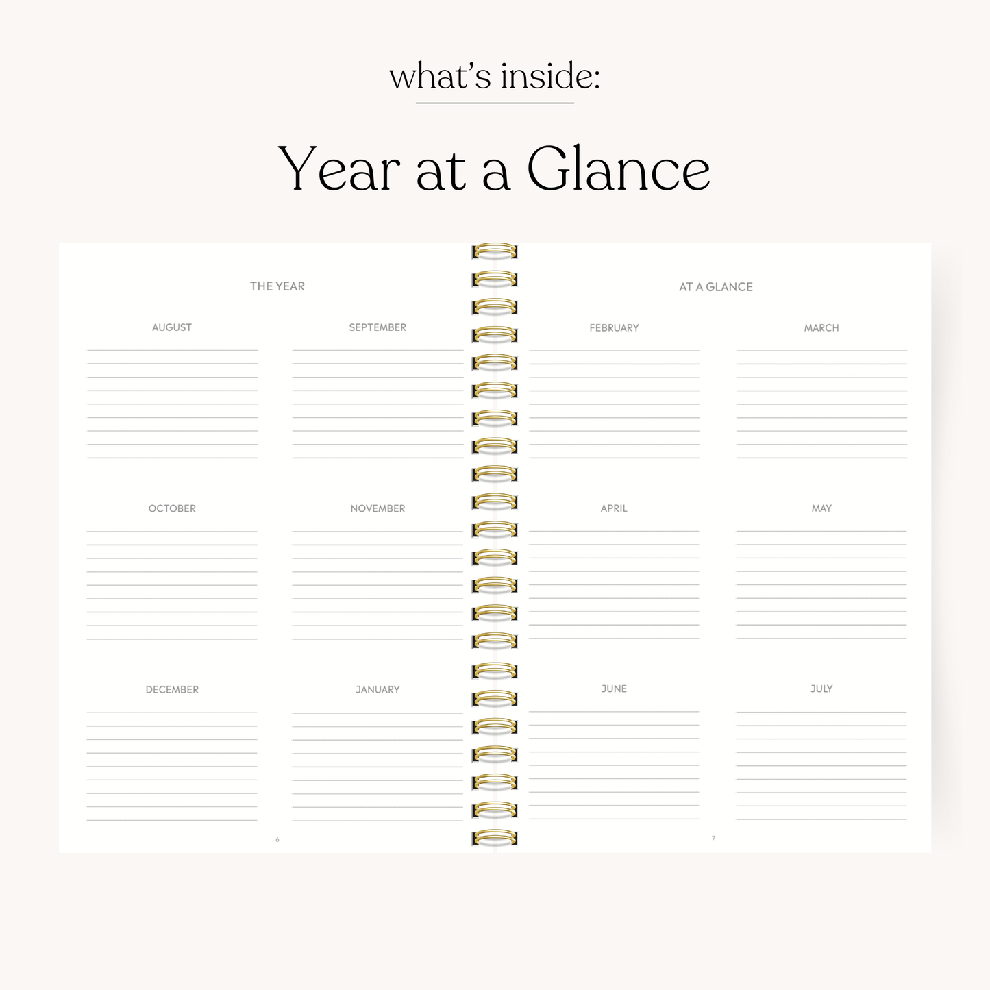 Primavera 2025-2026 Academic Planner PREORDER MID APRIL
