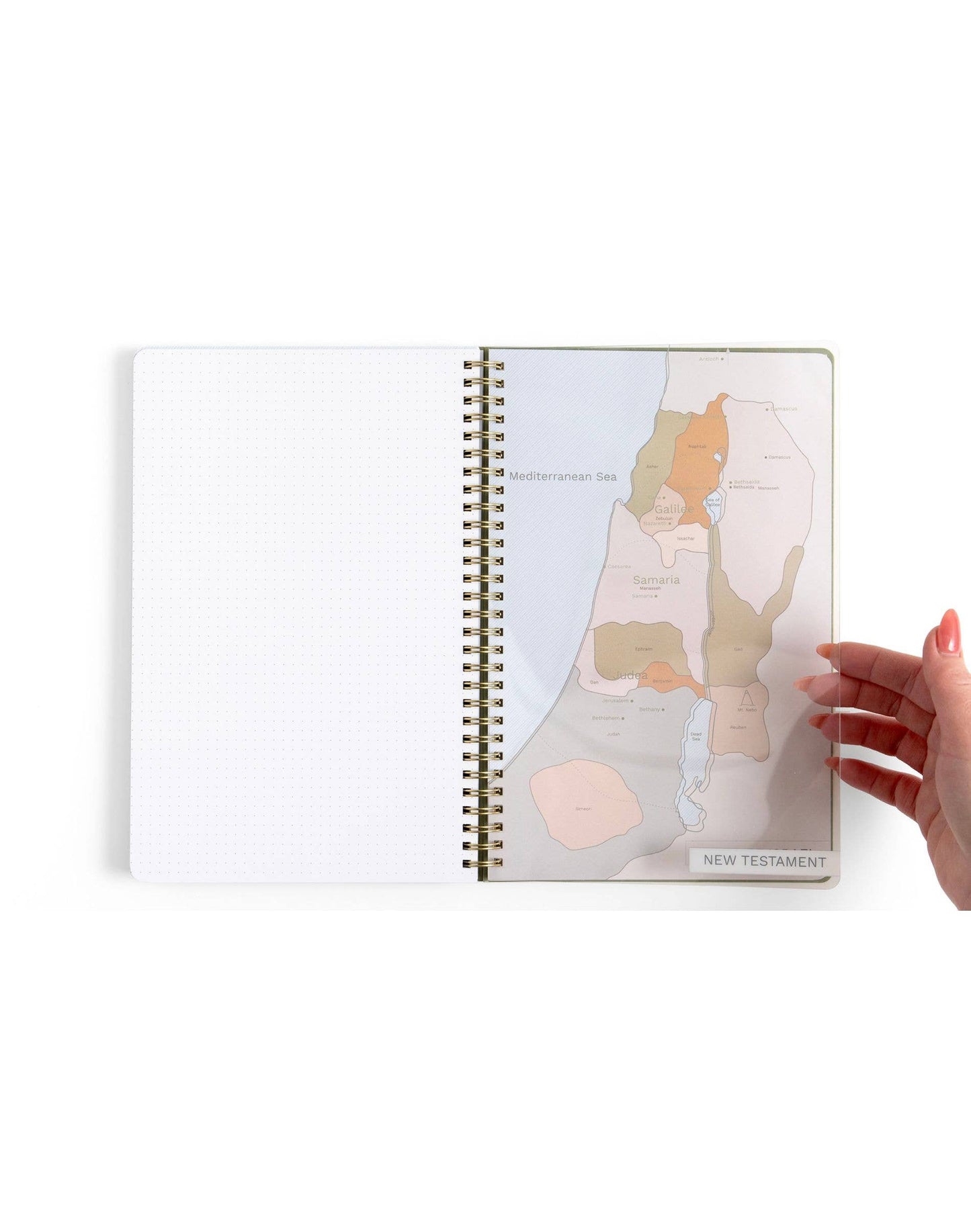 Church Notes Co. Olive Church Notes Bible Reference Notebook