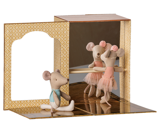 Ballet mice in Dance Studio, Little Sister and Little Brother