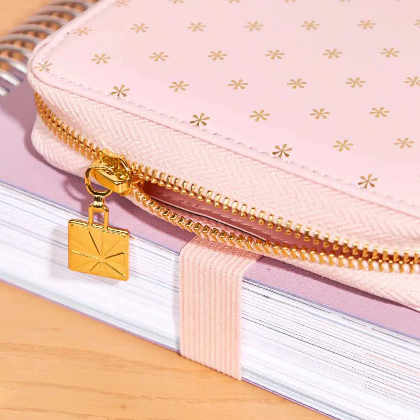Premium Planny Pack - Blush Asterisks