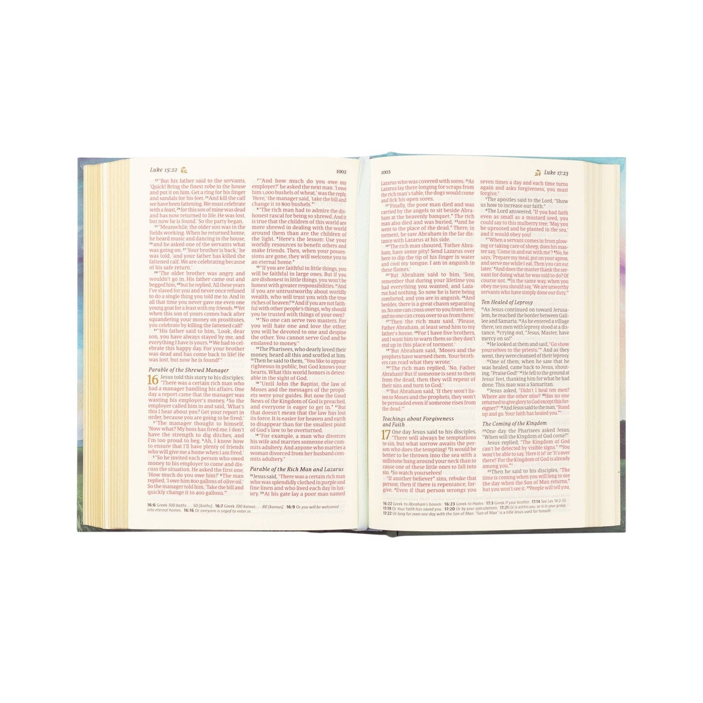 NLT Compact Bible: Prairie Theme