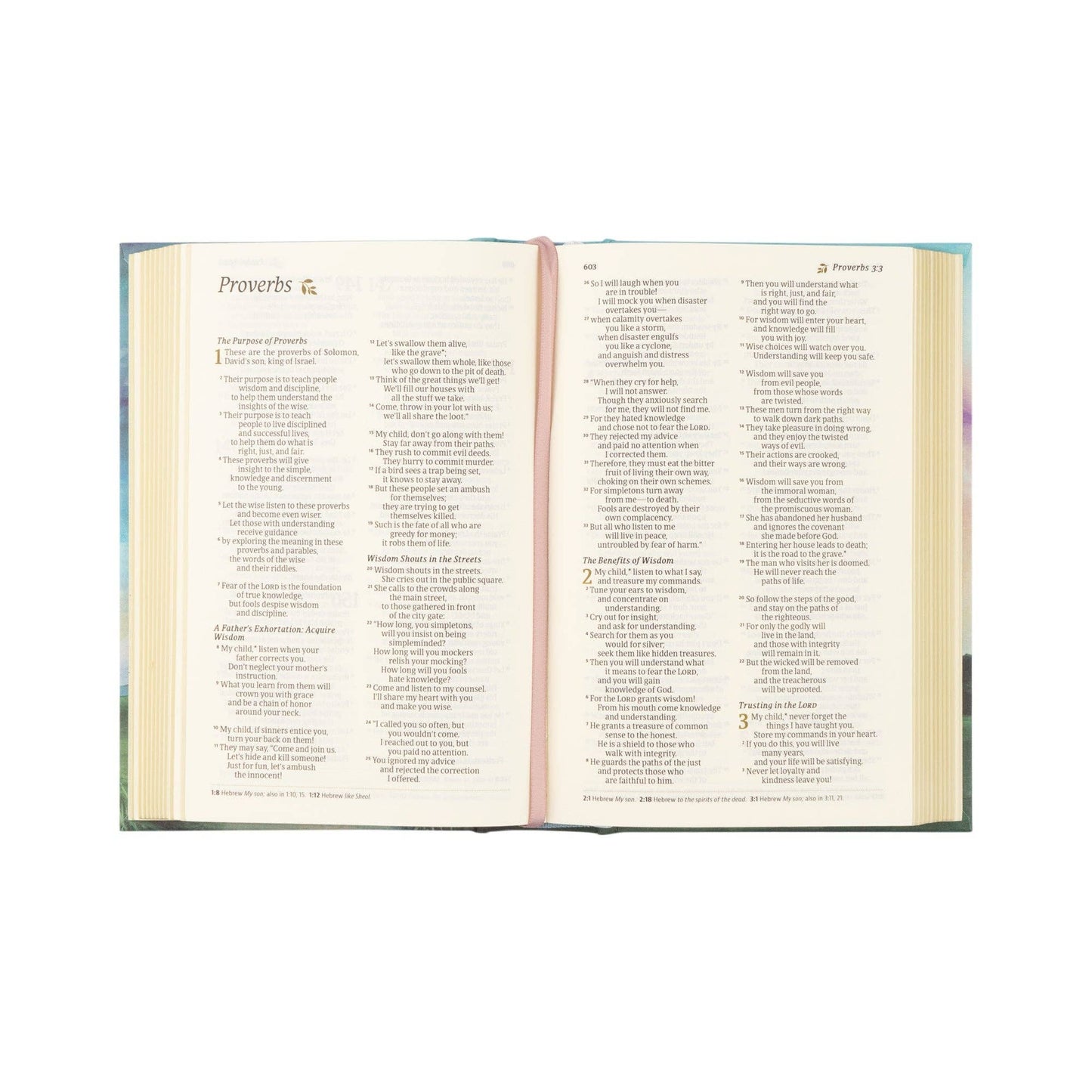 NLT Compact Bible: Prairie Theme