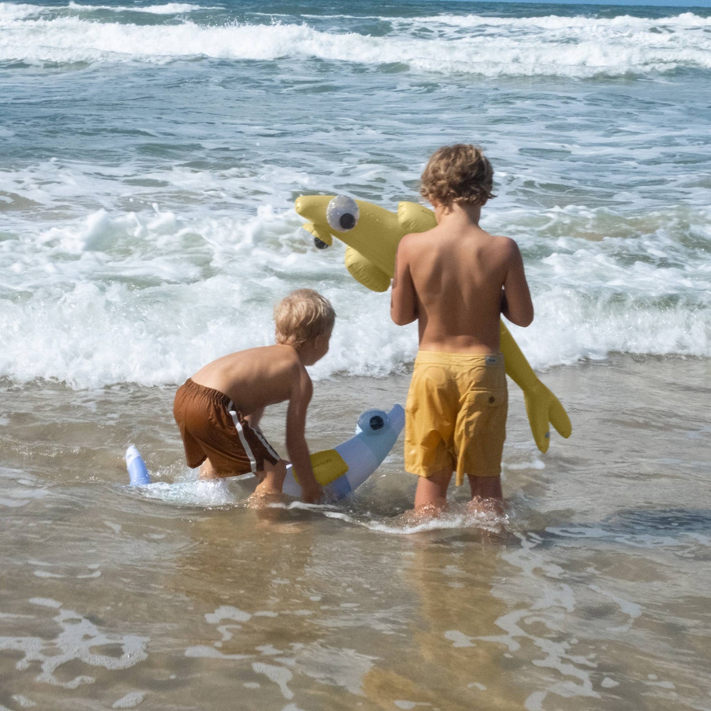 Kids Inflatable Noodle Finn the Fish Multi Set of 2