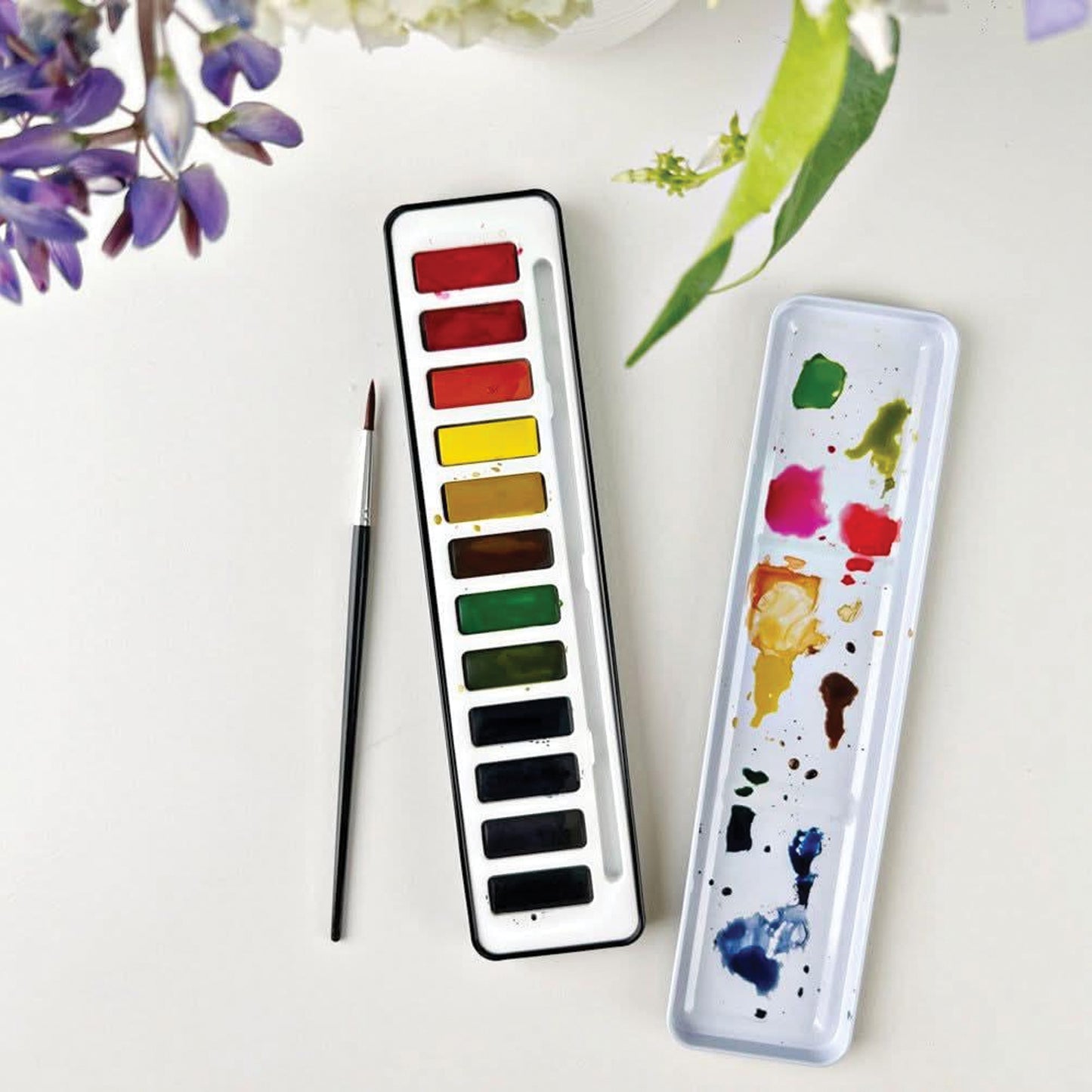 Emily Lex Studio Watercolor Paint Set