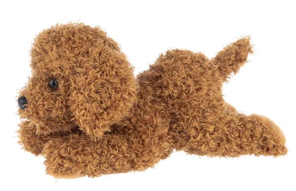 Nuzzles Labradoodle
