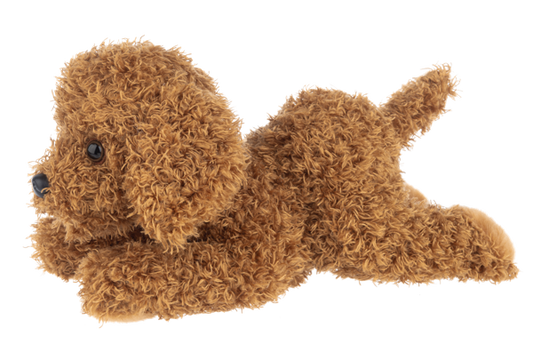 Nuzzles Labradoodle