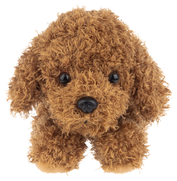 Nuzzles Labradoodle