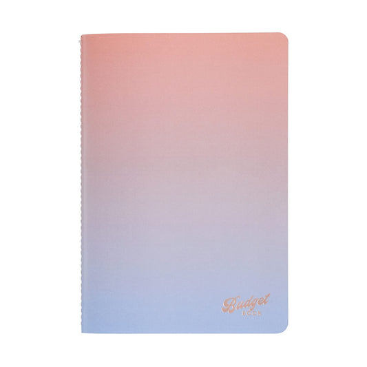 Erin Condren Design - Budget Book Petite Planner - Colorblends